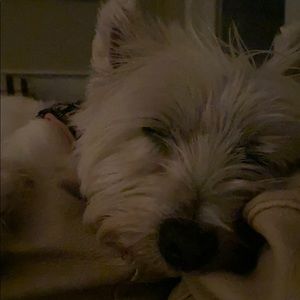 Meet your Posher, Kc